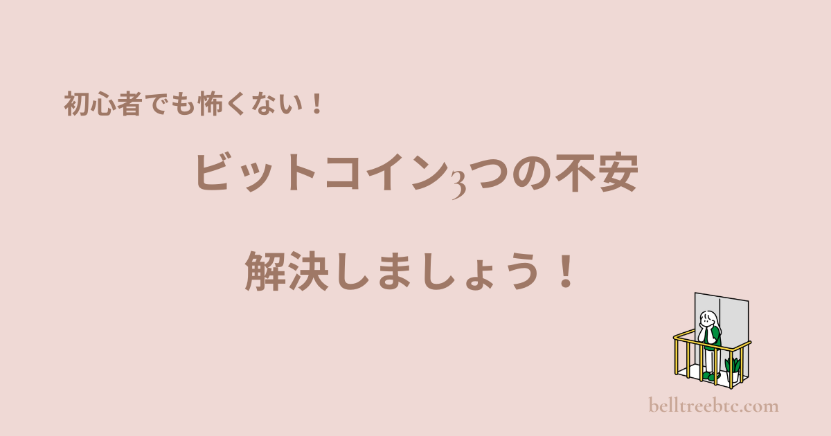 ビットコイン3つの不安